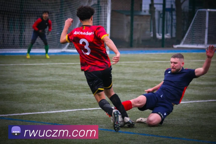 世界杯官网平台生态图